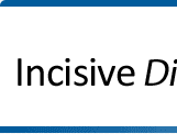 Realise the power of information with Incisive Direct