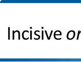 Realise the power of information with Incisive One to One