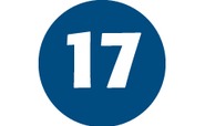 17